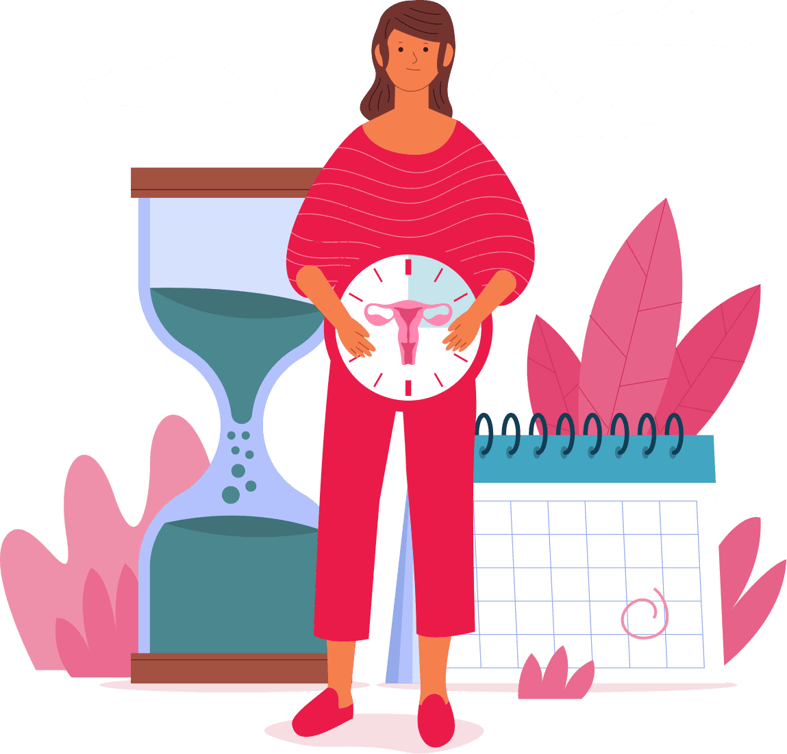 Ovulation Calculator calculator illustration