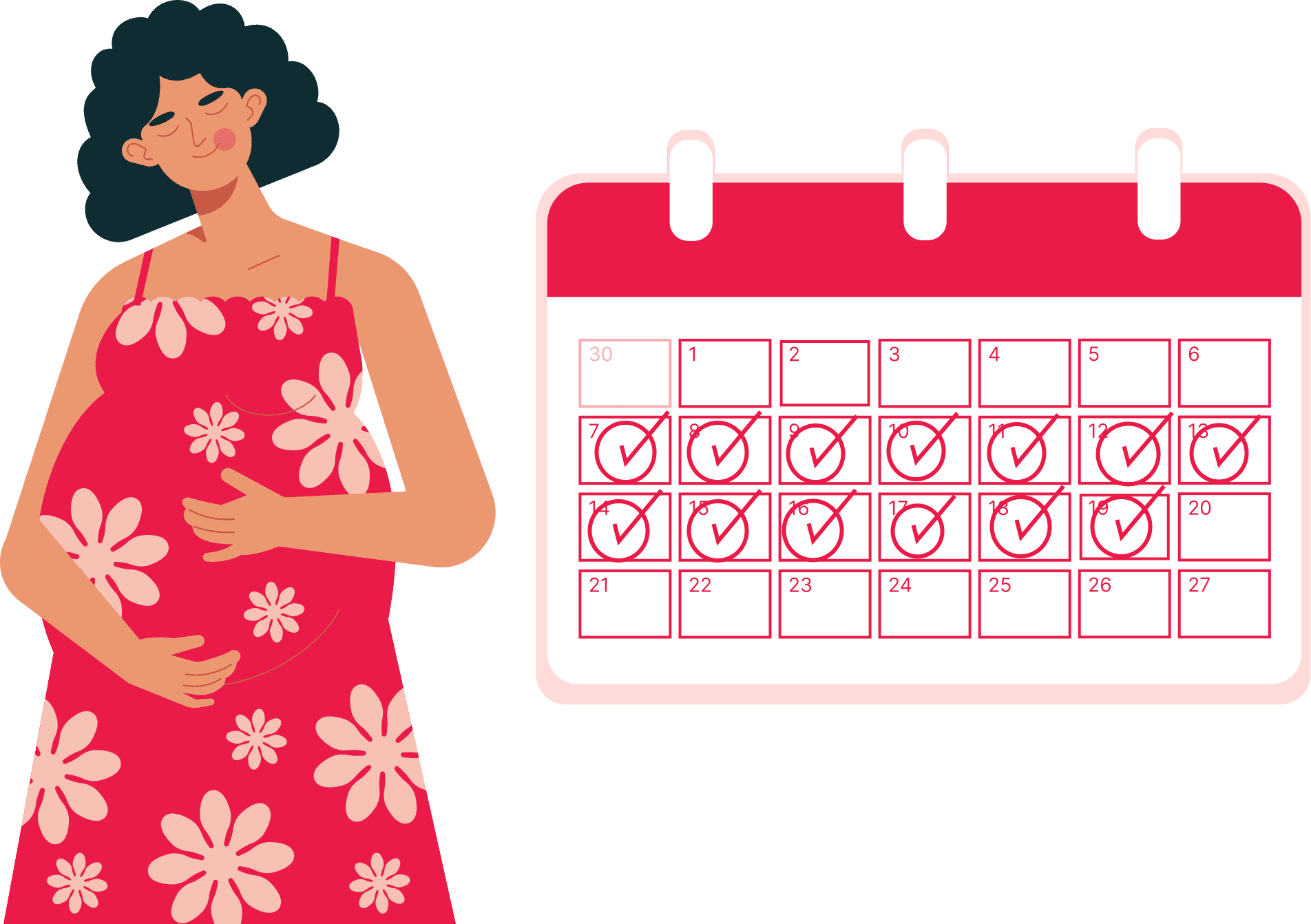 Pregnancy Weeks to Months Calculator calculator illustration