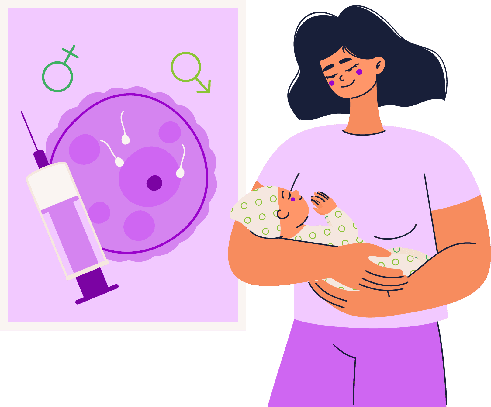 IVF & FET Due Date Calculator calculator illustration